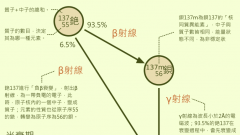 衰變